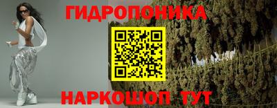 эйфоретик Новозыбков