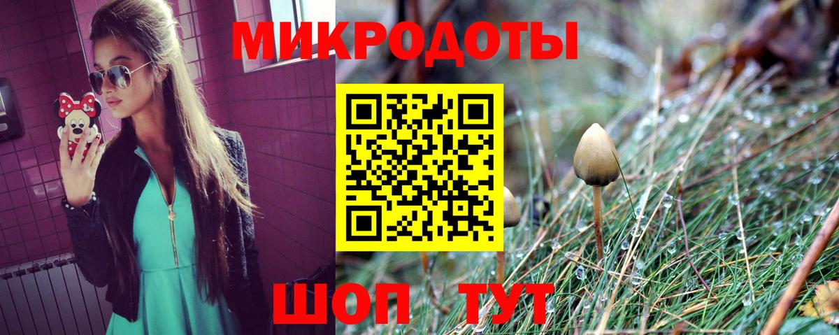 Галлюциногенные грибы Cubensis Наро-Фоминск